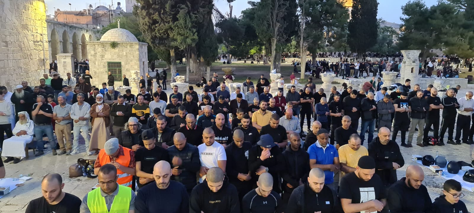 WhatsApp Image 2022-04-27 at 12.37.31 AM (1).jpeg